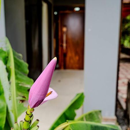 Cloud Forest House Monteverdes Exterior photo