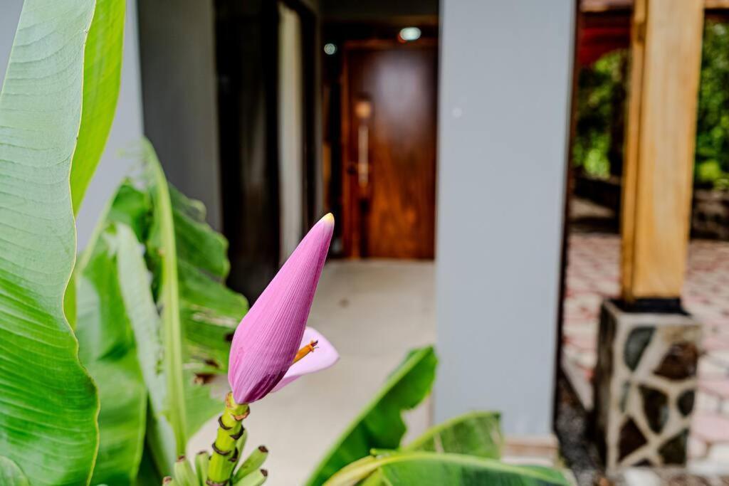Cloud Forest House Monteverdes Exterior photo
